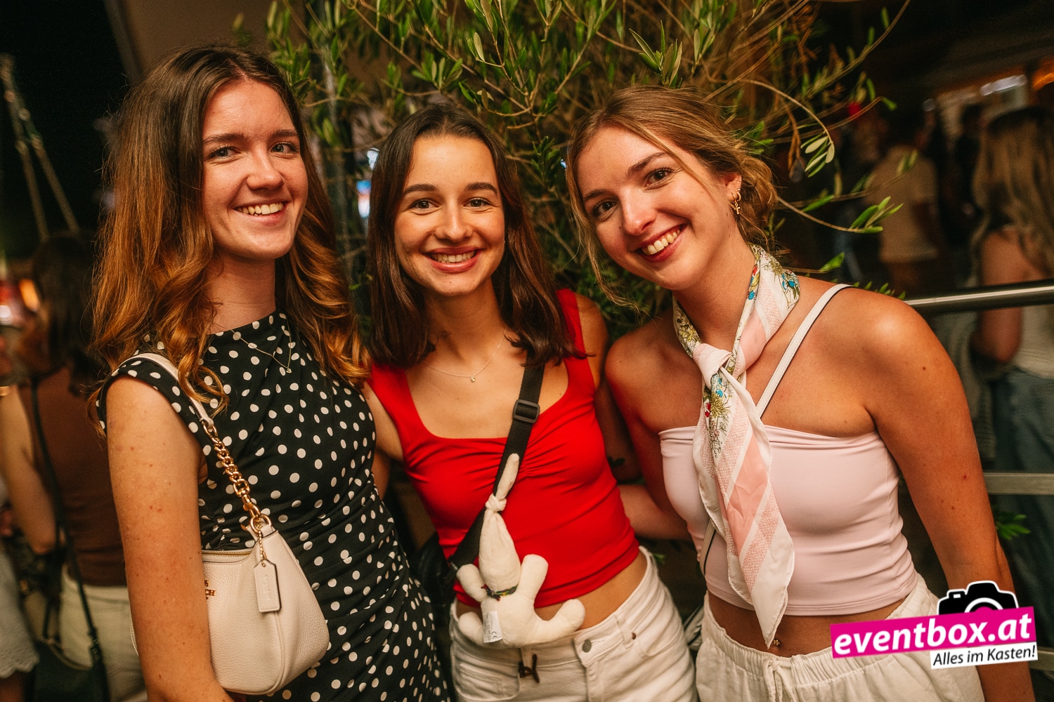 Bild zur Seite: Eventbox