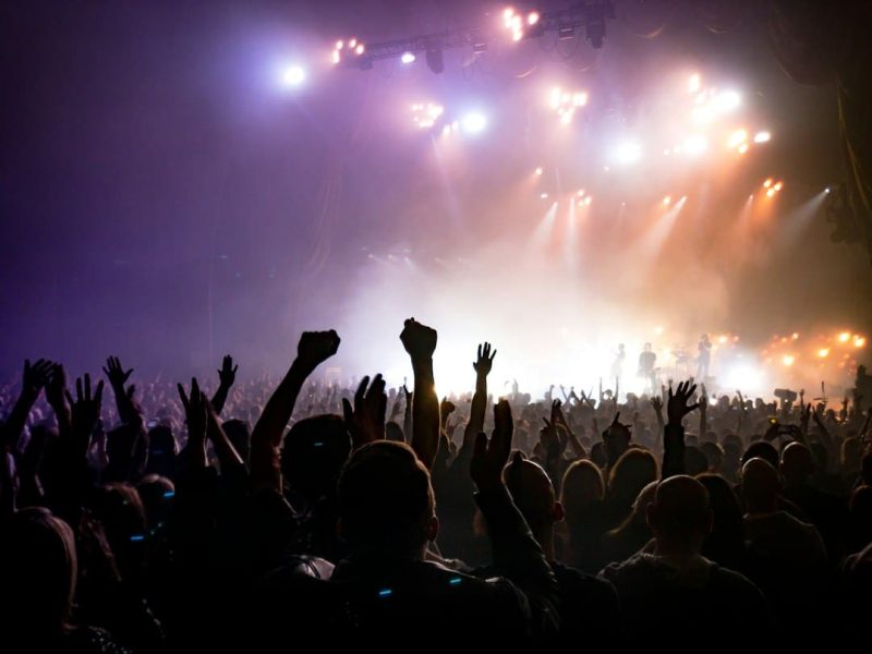 Begeistertes Publikum bei einem Livekonzert – Symbolbild zu Seiler und Speer Wien 2026